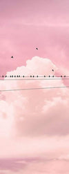 Komar Cloud Wire Vlies Fotobehang 100x250cm 1 baan | Yourdecoration.be