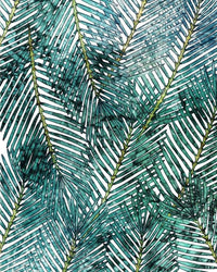 Komar Palm Canopy Vlies Fotobehang 200x250cm 2 banen | Yourdecoration.be