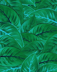 Komar Jungle Leaves Vlies Fotobehang 200x250cm 2 banen | Yourdecoration.be