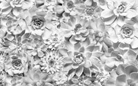 Komar Shades Black and White Vlies Fotobehang 400x250cm 4 banen | Yourdecoration.be