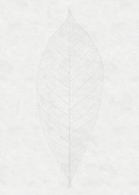 Komar Decent Leaf Vlies Fotobehang 200x280cm 2 banen | Yourdecoration.be