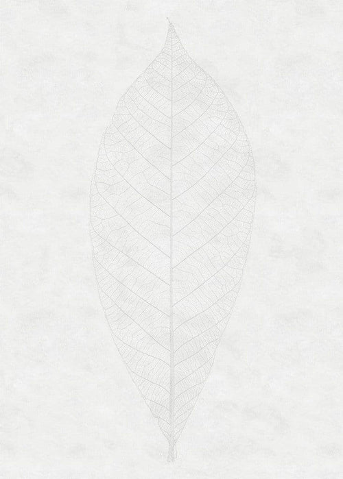 Komar Decent Leaf Vlies Fotobehang 200x280cm 2 banen | Yourdecoration.be