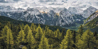Komar Wild Dolomites Vlies Fotobehang 200x100cm 1 baan | Yourdecoration.be