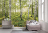 Komar Birch Trees Vlies Fotobehang 400x250cm 4 banen Sfeer | Yourdecoration.be