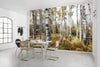 Komar Colorful Aspenwoods Vlies Fotobehang 450x280cm 9 banen Sfeer | Yourdecoration.be