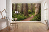 Komar Redwood Trail Vlies Fotobehang 450x280cm 9 banen Sfeer | Yourdecoration.be