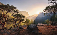 Komar Yosemites Secret Vlies Fotobehang 450x280cm 9 banen | Yourdecoration.be