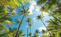 Komar Coconut Heaven Vlies Fotobehang 450x280cm 9 banen | Yourdecoration.be